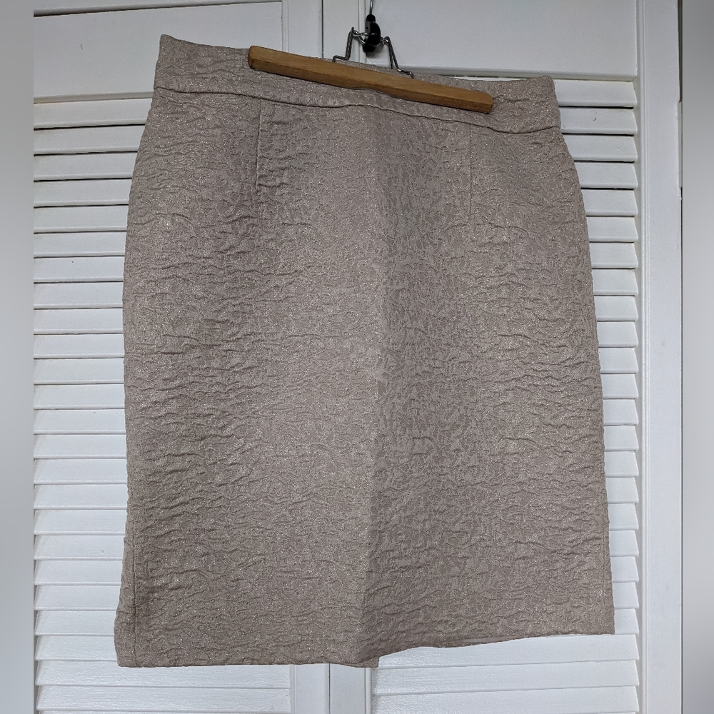 Banana Republic Champagne Metallic Pencil Skirt - size 8